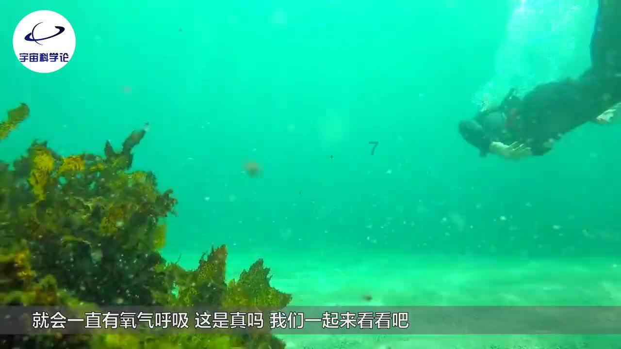 HAHA体育十年运营